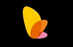 Leptir produkcija